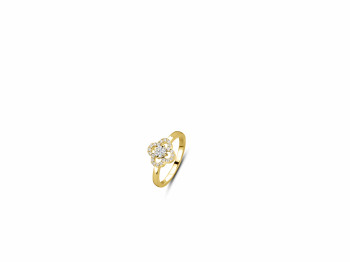 Ring in 18kt geel goud met briljant - FD50001116