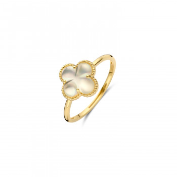 Blush - Ring in 14kt geel goud met parelmoer en bergkristal - 1269YMQ/54
