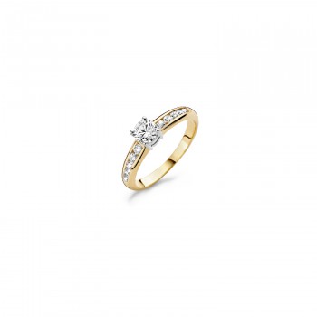 Blush - Ring - 14kt goud - 1154BZI/56