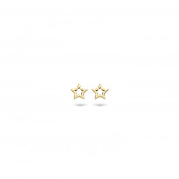 Blush - Oorknoppen - 14kt goud - 7248YGO