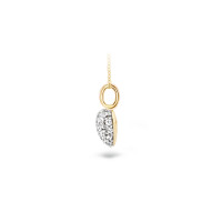 Blush - Hanger in 14kt wit en geel goud - 6068BZI