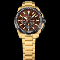 Festina - Chrono Bike - F20727/3 - Goudkleurig - Bruin