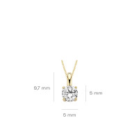Blush - Hanger in 14kt geel goud met zirkonium - 6053YZI