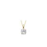 Blush - Hanger in 14kt geel goud met zirkonium - 6053YZI