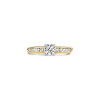 Blush - Ring - 14kt goud - 1154BZI/56