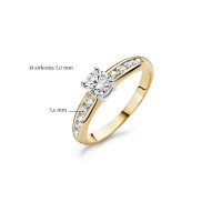 Blush - Ring - 14kt goud - 1154BZI/56