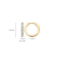 Blush - Oorringen - 14kt goud - 7129BZI