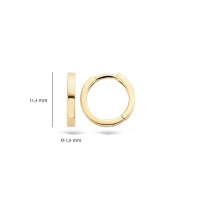 Blush - Oorknoppen - 14kt goud - 7202YGO