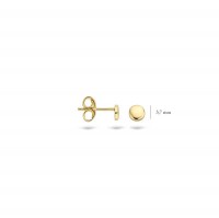Blush - Oorknoppen - 14kt goud - 7243YGO