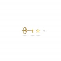 Blush - Oorknoppen - 14kt goud - 7247YGO