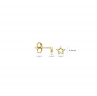 Blush - Oorknoppen - 14kt goud - 7248YGO