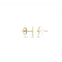 Blush - Oorknoppen - 14kt goud - 7249YGO