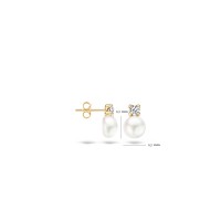 Blush - oorsteker 14kt geel goud met cz en parel - 7147YPW