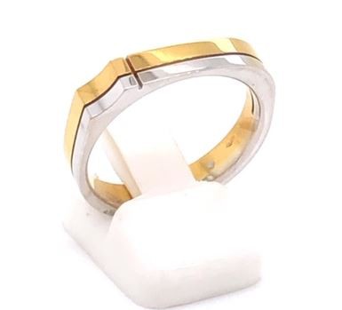 Eed Broek Dierentuin Ringen Heren Jongeren Gouden Juwelen Ring 18kt 18kt Bicolor Wit en Geel  goud Herenring bicolor 951100